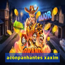 aconpanhantes xaxim